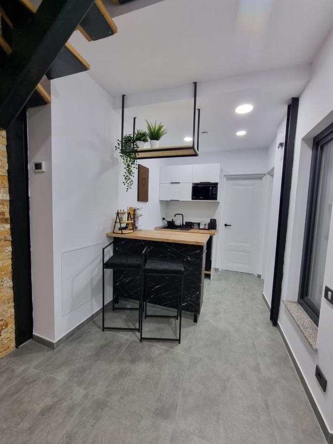 Casa Chiper - Apartament Parter Braşov Buitenkant foto
